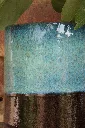 IMG_1806.webp