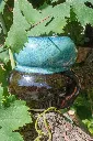 IMG_1961.webp