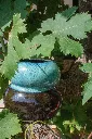 IMG_1970.webp