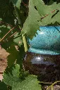 IMG_1959.webp
