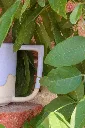 IMG_1753.webp